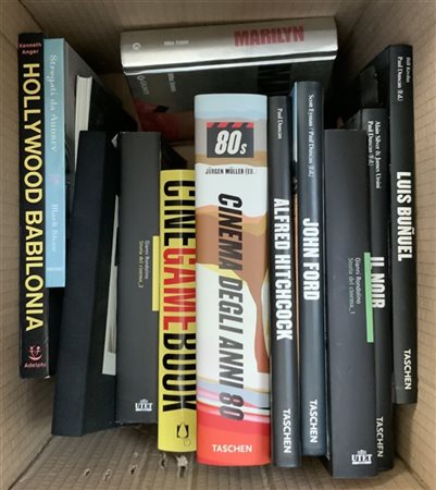 Quattro scatoloni contenenti numerosi volumi principalmente dedicati al cinema