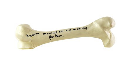 Renzo Nucara OSSO. CRACKING ART AMA LA NATURA scultura in plastica, cm...