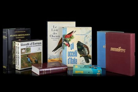 [CACCIA] Lotto composto da otto volumi inerenti l'ornitologia. Si segnala MACLE