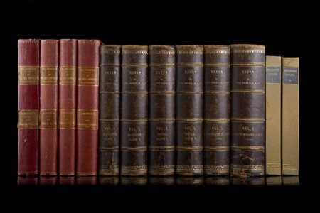 Brehm la vita degli animali 1871 6 volumi numerose tavole e illustrazioni nel t