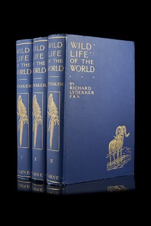 LYDEKKER, Richard. Wild life of the world. Londra: Warne [1916]. 3 voll, 4to, n