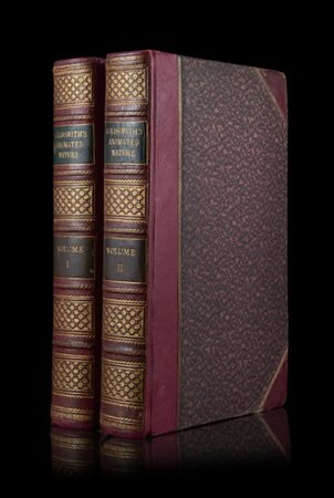 [CACCIA] GOLDSMITH, Oliver. A history of the earth and animated nature. Londra: