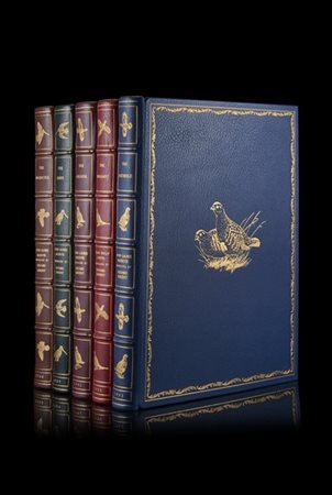 [CACCIA] McKelvie (Colin Laurie & Richard Robjent, illustrator). The Woodcock,