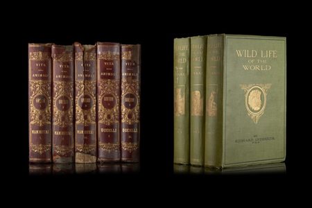 [CACCIA] Lotto di alcune opere: BREHM A. E. La vita degli animali. Torino: UTET