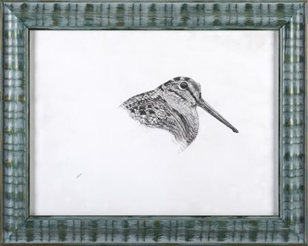 Roberta Elizabeth Thompson "Beccaccia" matita su carta (cm 29x39) In cornice