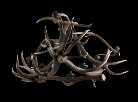 Lampadario a otto fiamme composto da quattro corna di cervo. Foresta Nera, seco