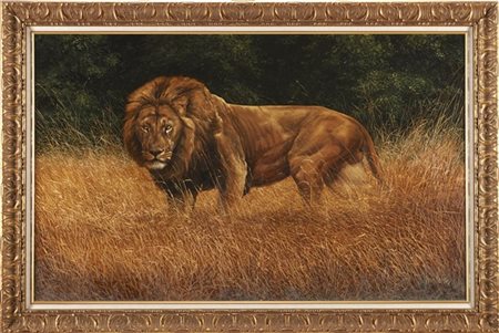 Spencer Hodge "Leone" olio su tela (cm 80x130) firmato in basso a destra. In co