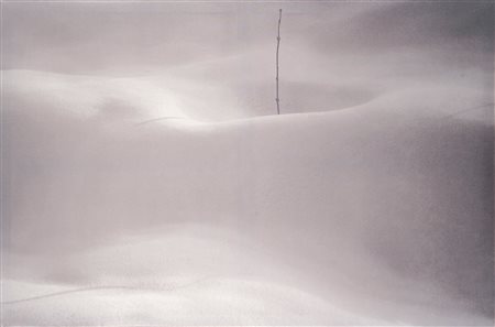 Abbas Kiarostami (1940-2016)  - Senza titolo, dalla serie "Snow White", 2002