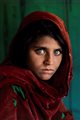 Steve McCurry (1950)  - The Afghan Girl, Sharbat Gula, Pakistan, 1984