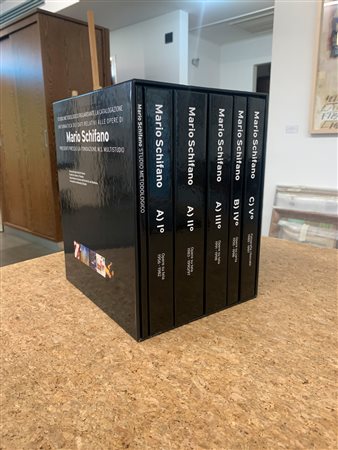 MARIO SCHIFANO - Studio metodologico riguardante la catalogazione informatica dei dati relativi alle opere di Mario Schifano presenti presso la Fondazione M.S. Multistudio