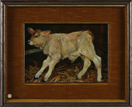 MUSITELLI GIULIO VITO (1901 - 1990) Vitello. 1971. Olio su tavola. Cm 30,00 x...