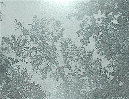 GORI FEDERICO (n. 1977) Quando la neve cadrà io non sarò mai stato qui (frame...