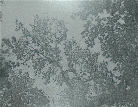 GORI FEDERICO (n. 1977) Quando la neve cadrà io non sarò mai stato qui (frame...