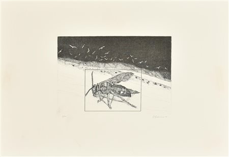 Giuseppe Giannini INSETTO incisione su carta, battuta cm 17x24, su foglio cm...