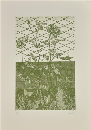 Carlo Pescatori ROSA CON LOCUSTA acquaforte, mm 497x319, su foglio cm 70x50;...