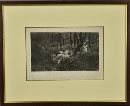 Celestino Pier Gilardi NEL BOSCO DI PORTICI litografia su carta, 30x40cm...