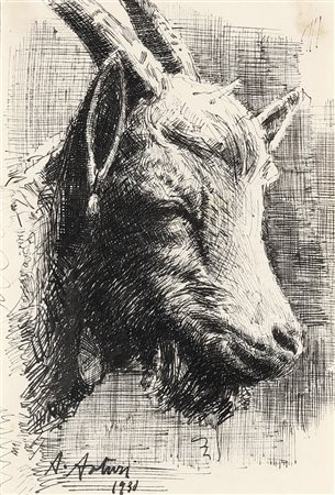 ASTURI ANTONIO (1904 - 1986) - Capretta.