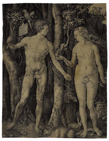 ALBRECHT DÜRER (1471-1528) Adamo ed Eva, 1504 Bulino su carta, 24,4x18,8 cm....