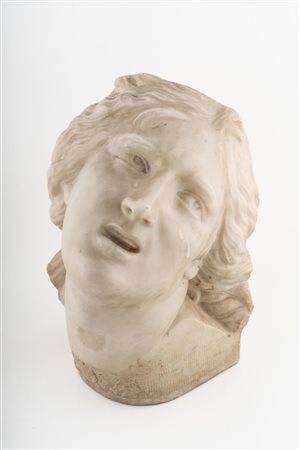 Testa di Proserpina, da Gian Lorenzo Bernini