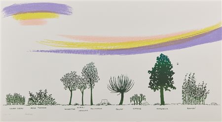 MUNARI BRUNO (1907 - 1998) - Dalla cartella: Un viale di alberi diversi.