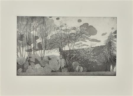 Federica Galli LA SITADELA incisione su carta, battuta cm28x50, foglio cm...