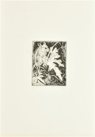 Aldo Castano POESIA DEL BOSCO incisione su carta, battuta cm 16,5x12,5, su...