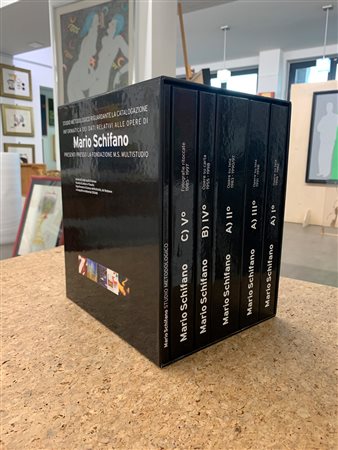 MARIO SCHIFANO - Studio metodologico riguardante la catalogazione informatica dei dati relativi alle opere di Mario Schifano presenti presso la Fondazione M.S. Multistudio