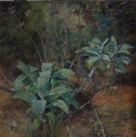 Giuseppe Casciaro (Ortelle, LE 1863 - Napoli 1941)