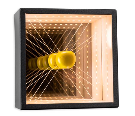 PIERLUIGI POLLIO (1956) - Mela