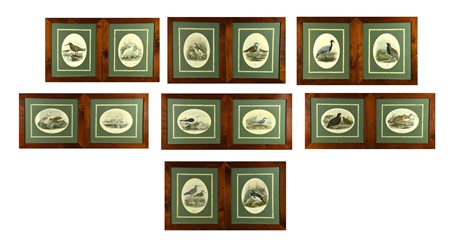 Scuola Francese del XIX secolo VOLATILI stampe, cm 30x44 ciascuna (14)