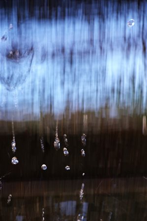  Barbara Bertoncelli, Istantaneamente