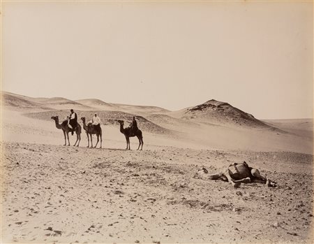 Félix Bonfils (1831-1885)  - Scéne du desert, abanden d'un chameu mort ; Tropeau du Buffles se baignat dans le Nil, 1880s