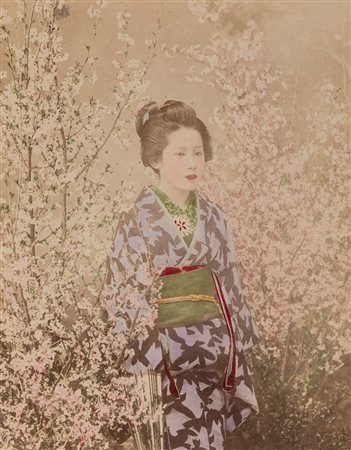 Kazumasa Ogawa (attribuito a) (1860-1929)  - Senza titolo (Geisha e fiori di ciliegio), 1890s