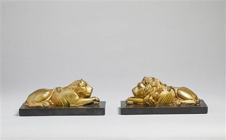 Coppia con leone e leonessa