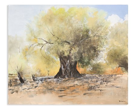 FLORA BRAVIN - Grande ulivo a Licusati, 2003