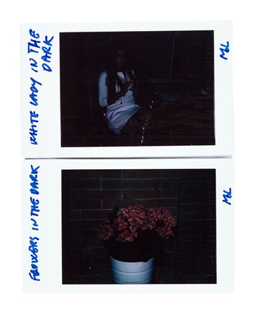 MASSIMO DE LUCA (1960) - Flowers in the dark. White lady in the dark. From the banality series, 2019/2020