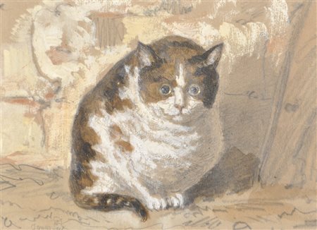 Ignaz Seelos (Bozen/Bolzano 1827 - Wien/Vienna 1902) Gatto;Tempera e matita...