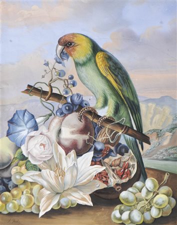 Johann Georg Seitz (Nürnberg/Norimberga 1810 - Wien/Vienna 1870) Pappagallo...