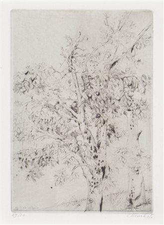 Markus Vallazza (St. Ulrich in Gröden/Ortisei 1936 - Bozen/Bolzano 2019)...