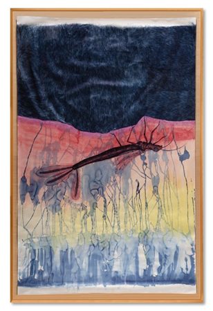 Jan Fabre "Pen van God" 
"Series: Metamorfosen" 1992
acquerello e penna biro su