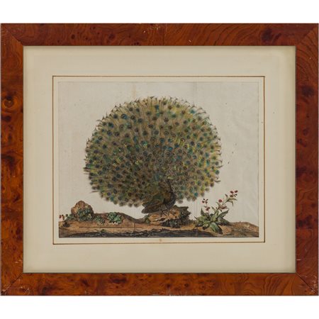 DUE STAMPE "La Soie" e "Pavone".