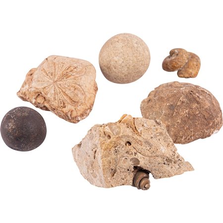 QUATTRO PIETRE FOSSILI, PIETRA SFERICA E BIGLIA DA CANNONE