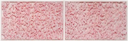 Alfredo Pirri "Arie" 2006 - 2007 
vernice acrilica, piume, plexiglass e acciaio