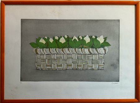 Bruno Caruso "Senza titolo" 
acquaforte e acquatinta a colori
(lastra cm 32,5x51