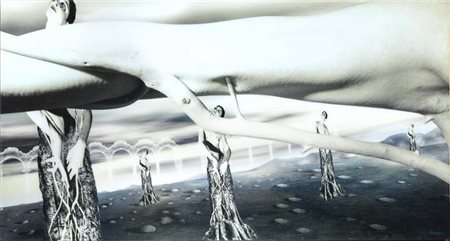 CONIGLIOVIOLA (BRICE CONIGLIO E ANDREA RAVIOLA)<BR>"Senza titolo"