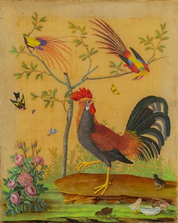 RAINERI CARLO ANTONIO