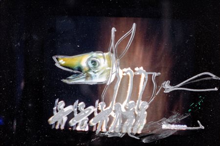 Mario Schifano (Homs, 1934 - Roma, 1998) Senza titolo 1990-97 Fotografia...