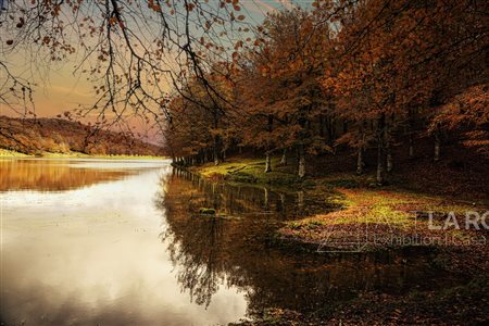 Fernando Famiani (1965)  - Autunno sui Nebrodi