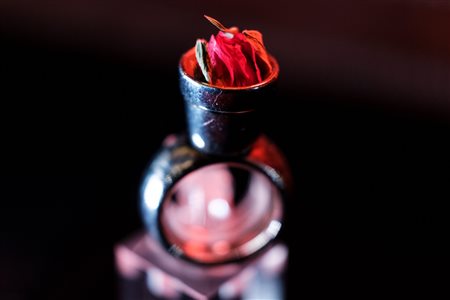 CGP-Cucinotta - Anello vaso