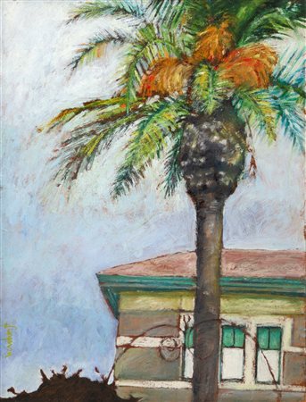 Lucia Ragusa (Catania)  - Palma nel catanese